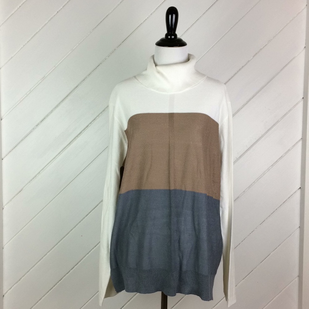 {Carol Rose} Color Block Sweater